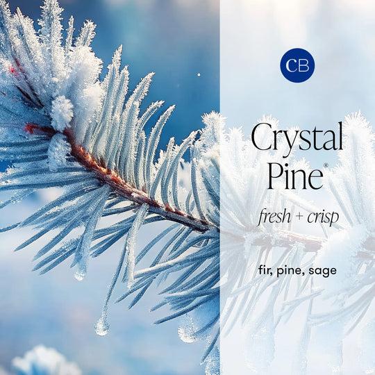 Capri BLUE Crystal Pine Glimmer Oversized 28oz Candle