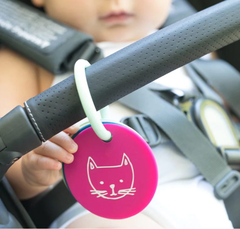 Party Animals Teething Flashcards - Friends Market Boutique