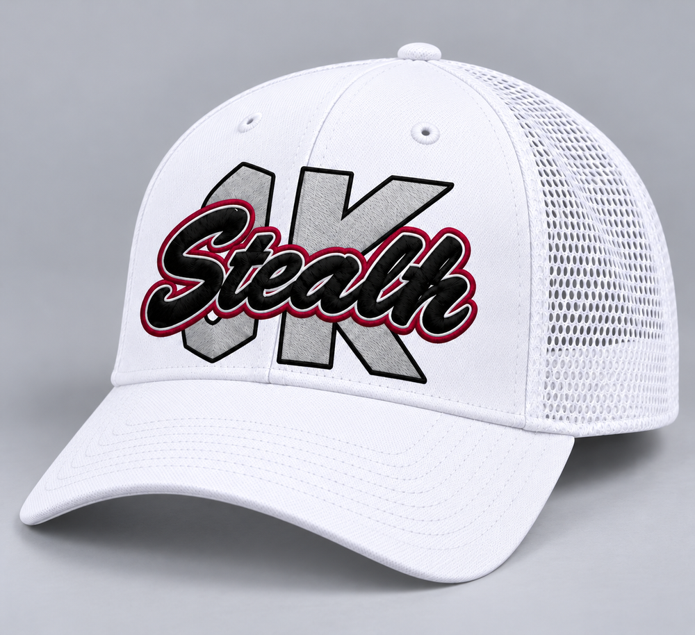 STEALTH DIGITIZING