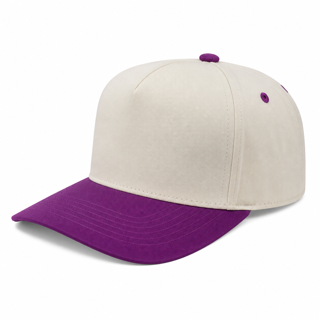 TCTAN-DZ-5 PANEL 2TONE SNAP BACK HATS DOZEN   (BEST SELLER): TAN/JADE
