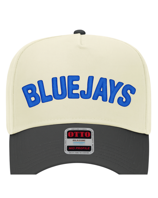 #6 RB BLUEJAYS HAT