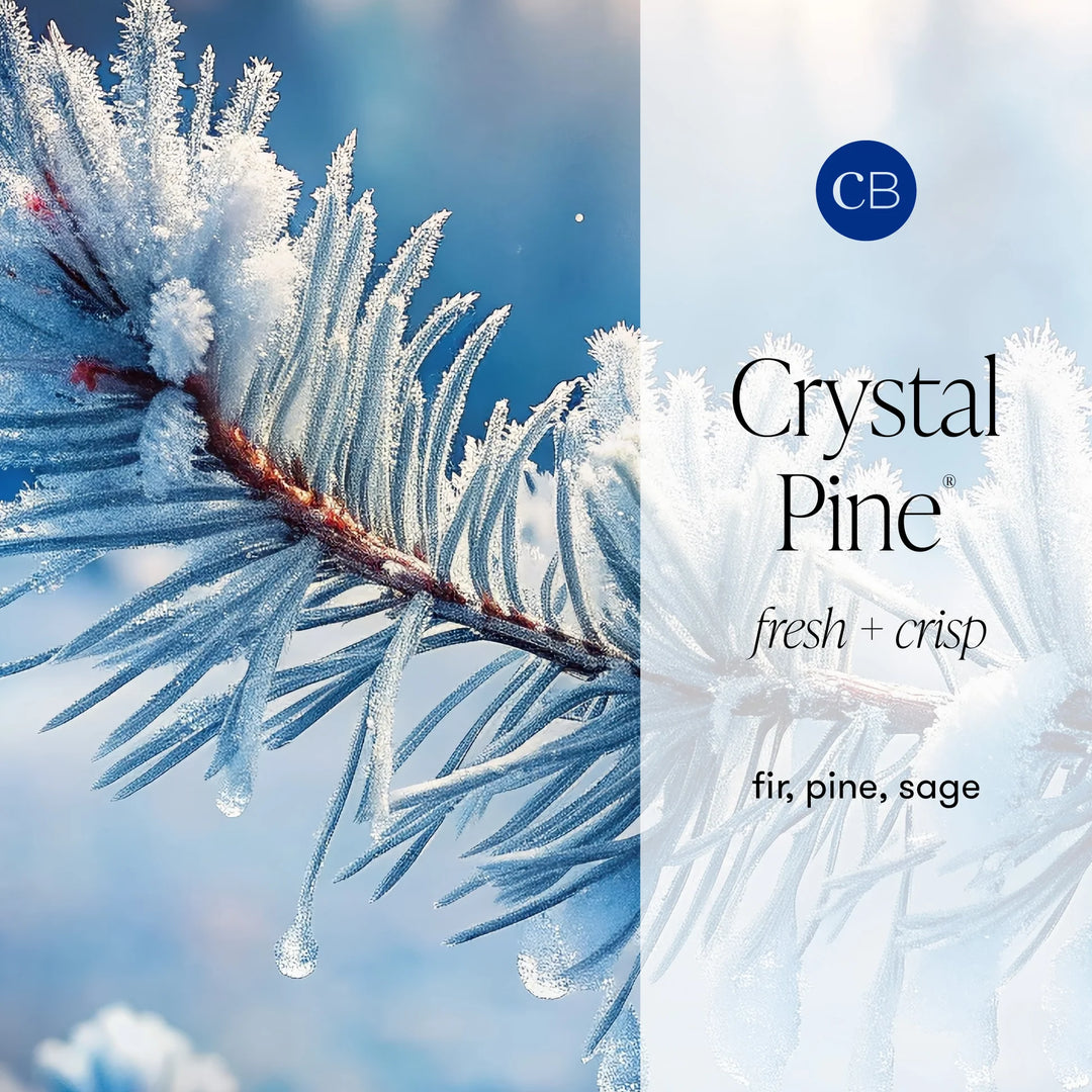 Capri BLUE Crystal Pine Glimmer Hand Wash
