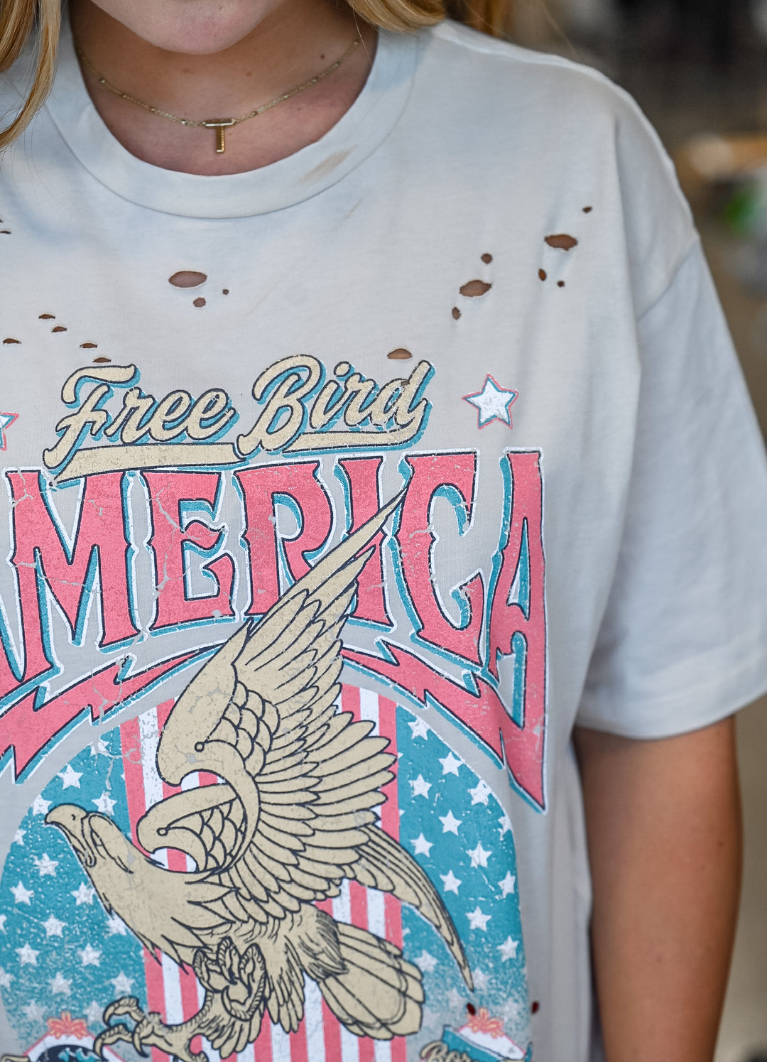 Free Bird America Tee