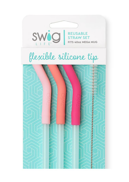 Swig Blush/Coral/Pink Reusable Mega Mug Straw Set