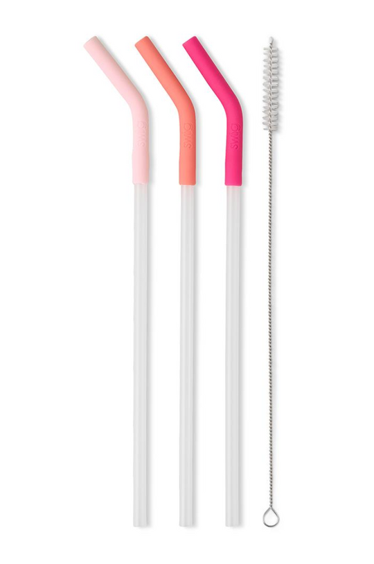 Swig Blush/Coral/Pink Reusable Mega Mug Straw Set