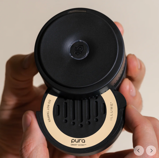 Coconut Milk Mango Pura Smart Car Fragrance