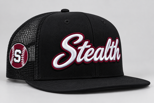 STEALTH DIGITIZING