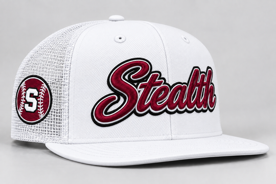 STEALTH DIGITIZING